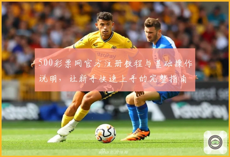 500彩票网官方注册教程与基础操作说明，让新手快速上手的完整指南
