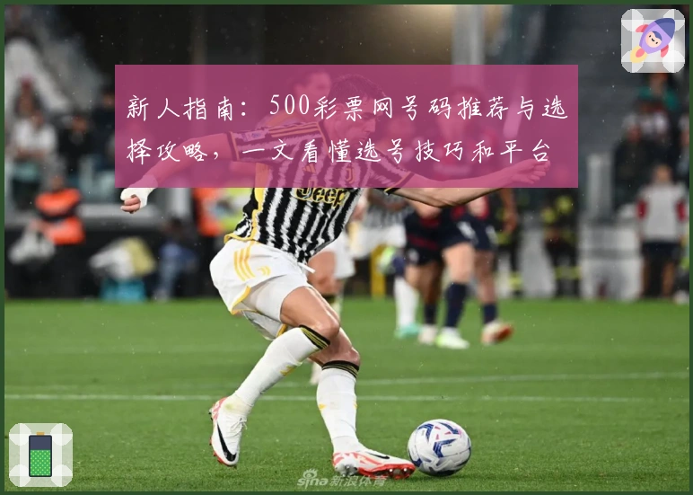 新人指南：500彩票网号码推荐与选择攻略，一文看懂选号技巧和平台特色
