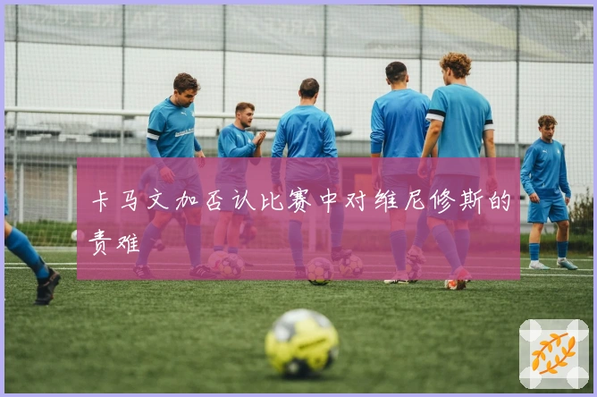 卡马文加否认比赛中对维尼修斯的责难