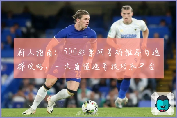 新人指南：500彩票网号码推荐与选择攻略，一文看懂选号技巧和平台特色